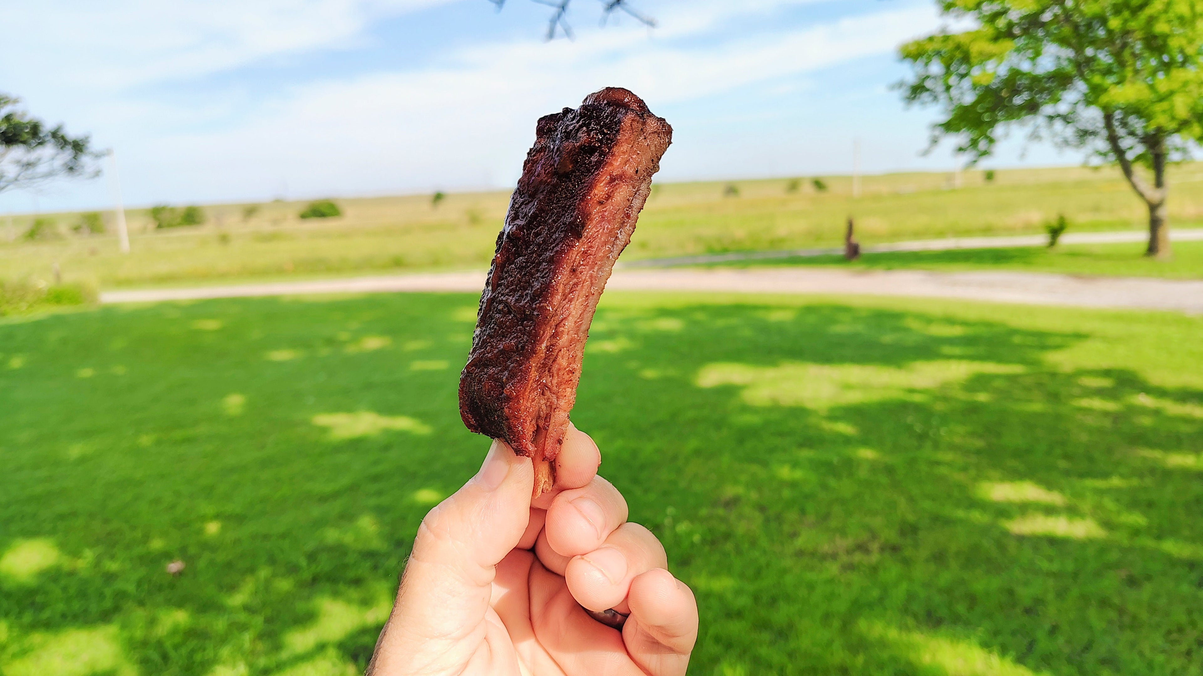 St. Louis Ribs on an Offset Smoker