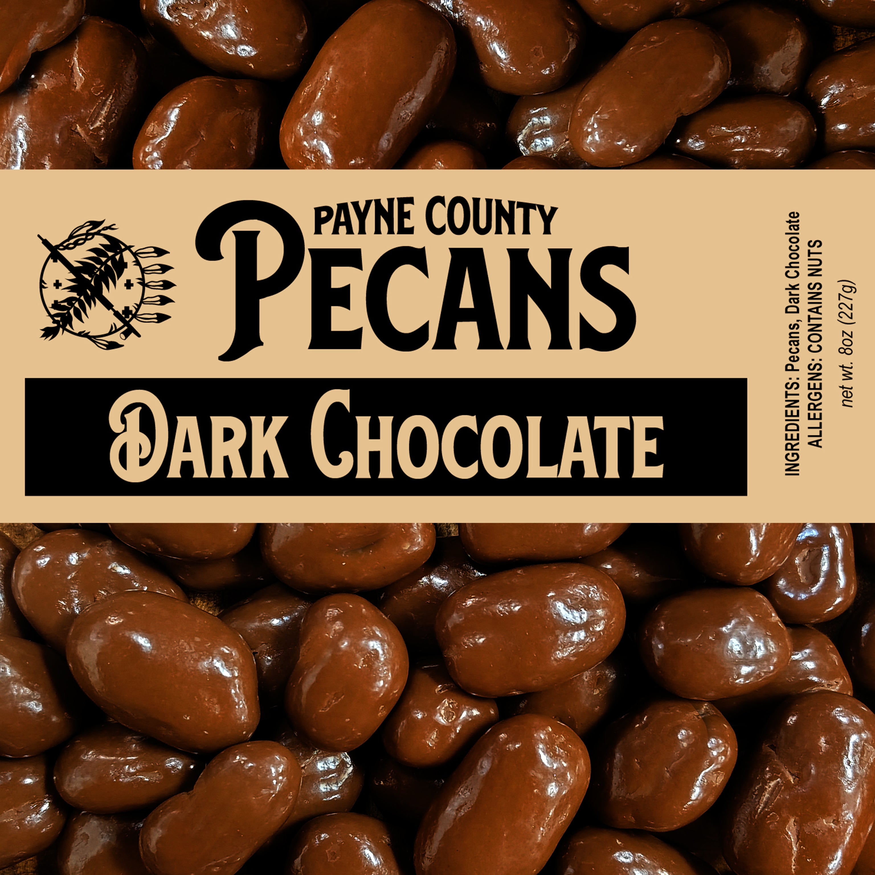 Chocolate Covered Pecans