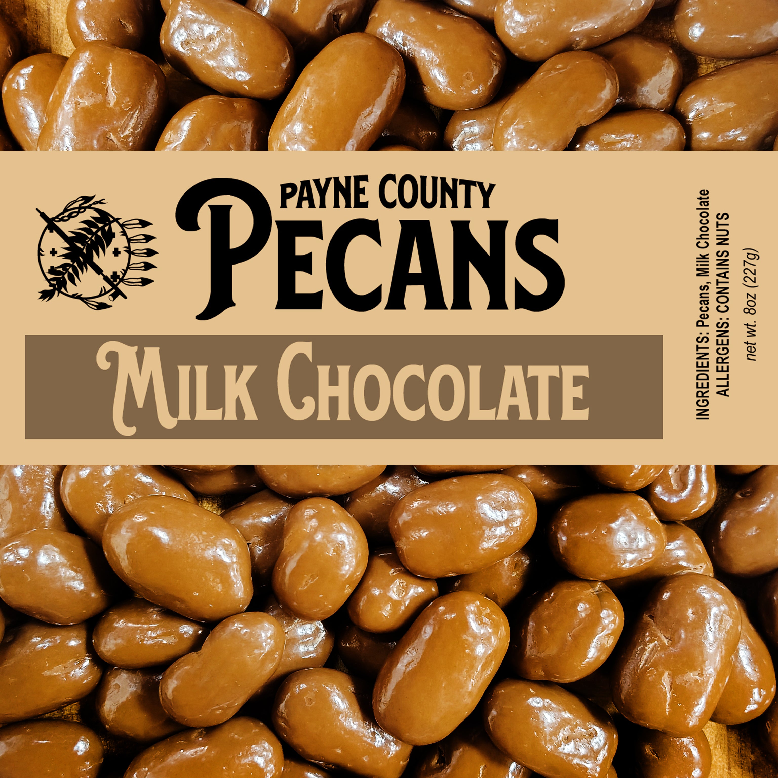 Chocolate Covered Pecans
